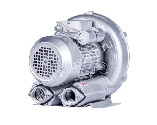 Компрессор одноступенчатый Aquant 2RB-410 (145 м3/ч, 220В) для бассейна Компрессор одноступенчатый Aquant 2RB-410 (145 м3/ч, 220В) для бассейна