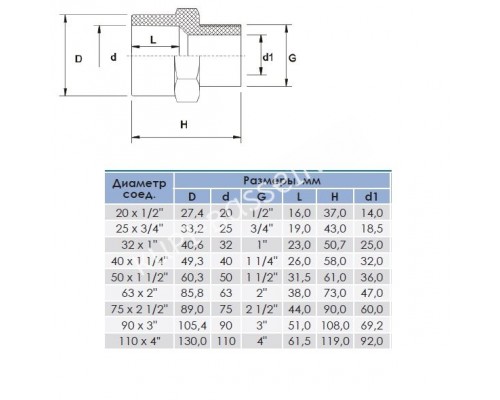 Муфта с нар. резьбой 110x4" для бассейна - надежное соединение