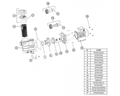 Насос Hayward PL 81003 (220В, 7.3 м3/ч, 0.33HP) для бассейна