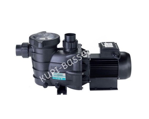 Насос Hayward PL 81006 (220В, 15 м3/ч, 1HP) для бассейна
