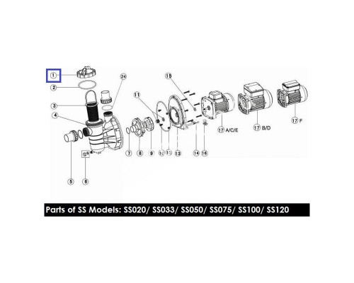 Крышка для насоса Aquaviva SS (01201031new/01041025)