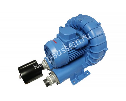 Компрессор низкого давления (178 м3/ч 380В) MAR Piscine R3000