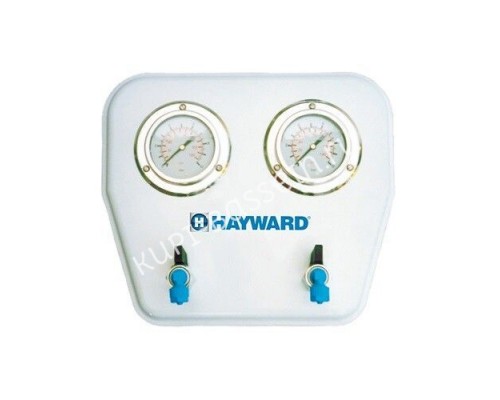 Манометр сдвоенный Hayward MP25.B (210350025000) Манометр сдвоенный Hayward MP25.B (210350025000)