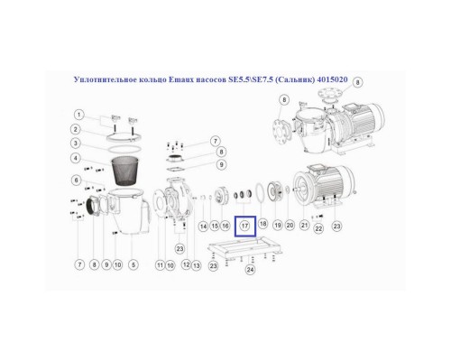 Уплотнительное кольцо Aquaviva насосов SE5.5\SE7.5 (Сальник) 4015020