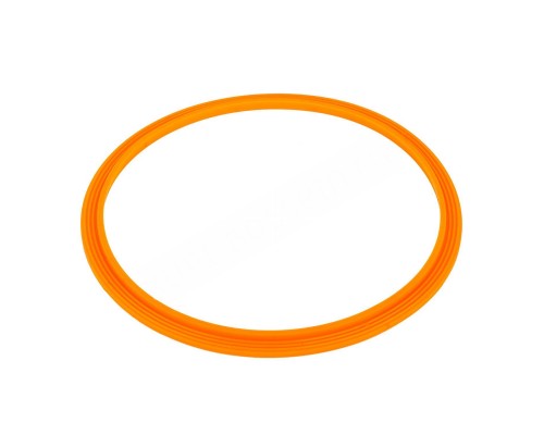 Уплотнительное кольцо AquaViva прожектора LED/UL-P100 2021004 для бассейна Уплотнительное кольцо AquaViva прожектора LED/UL-P100 2021004 для бассейна