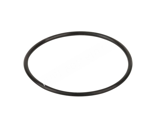 Уплотнительное кольцо корпуса насоса Aquaviva SMP