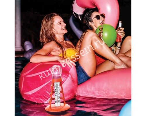 Термометр Kokido TM60CBX/C Шторм для бассейна - точность и надежность