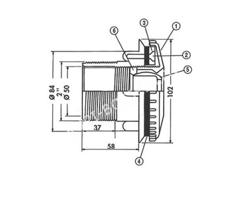 Форсунка стеновая Hayward 3315LG 2" под лайнер для бассейна Форсунка стеновая Hayward 3315LG 2" под лайнер для бассейна