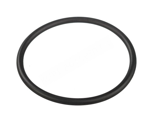 Уплотнительное кольцо переходной муфты насоса Aquaviva SWPA/SWPB