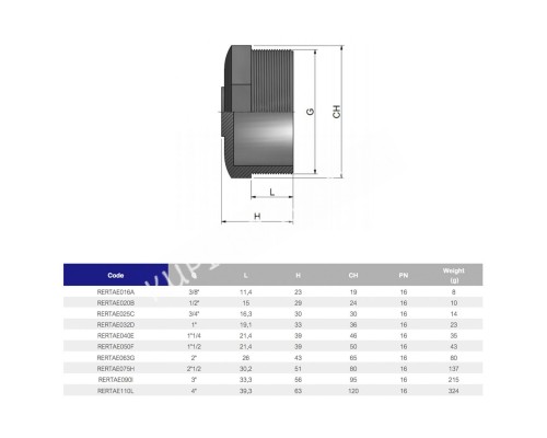 Заглушка ПВХ Effast RERTAE025C с наружной резьбой d3/4" для бассейна
