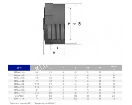 Заглушка резьбовая EFFAST d1/2" (RERCAE020B) для бассейна