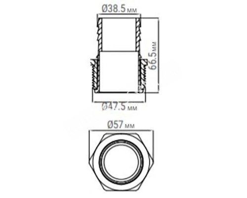 Соединитель шланга Aquaviva с гайкой и наружной резьбой для бассейна