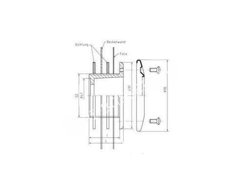 Форсунка пылесосная Fitstar 3916020, НР 2", Ø 98 мм*70 мм для бассейна