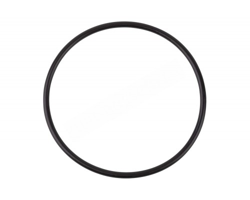 Прокладка-кольцо крышки префильтра насоса SS Emaux (031111/02011074/02010247)