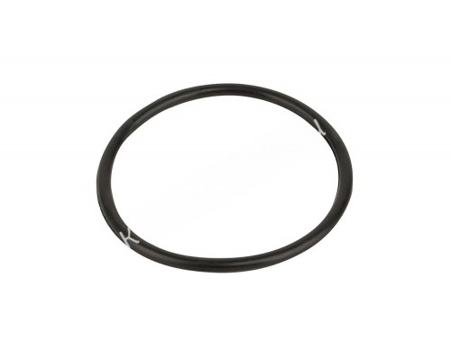 Прокладка-кольцо фланца бочки фильтра FSU Emaux (02010045)