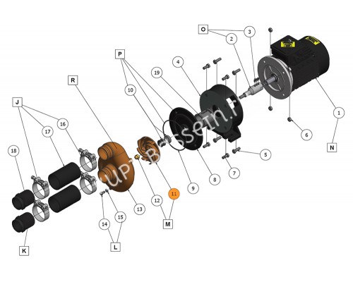Крыльчатка к насосу JET-SWIM 2000 511891/636011