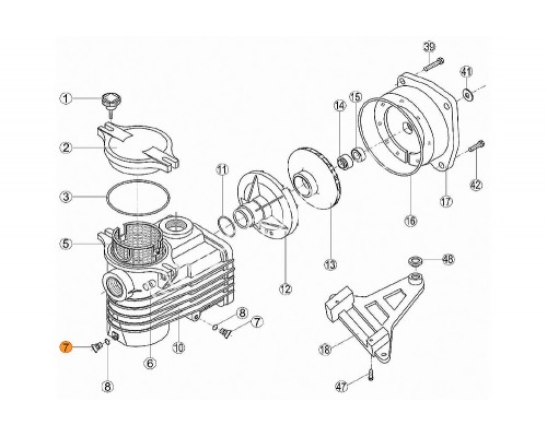 Винт сливной префильтра насосов OK,NK,KS,KAP с прокладкой Kripsol RKS 195.A/7