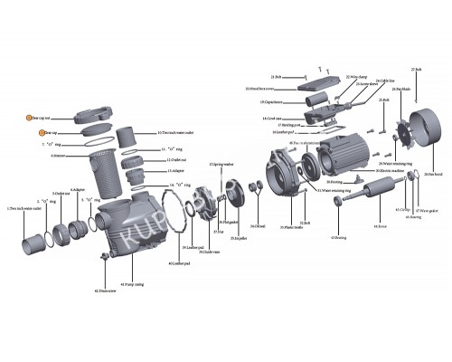 Муфта с крышкой префильтра насоса HFC 02 ( компл.) Happy Pump