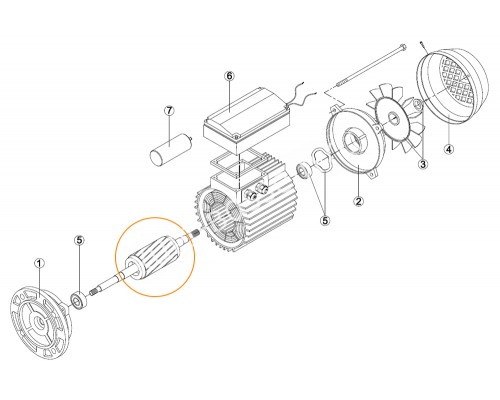 Ротор двигателя насоса ОК-33 (220В) с 2-мя подшипниками 6202 Kripsol