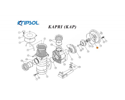 Прокладка крышки задней (фланца) насоса KA/KAP Kripsol RKA 160.A/RBH0013.03R/RPUM0016.04R