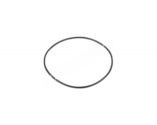 Прокладка крышки задней (фланца) насоса SS Emaux (031113/02011090)