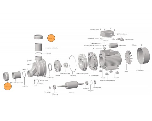 Гайка муфты d50 насоса HFC 02/HSPA Happy Pump