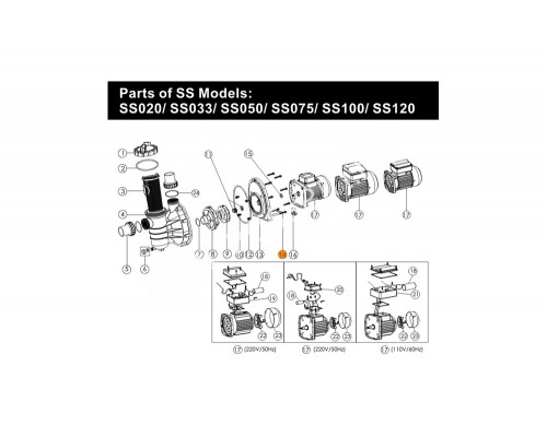 Болт крышки задней насоса SS Emaux (03011035)