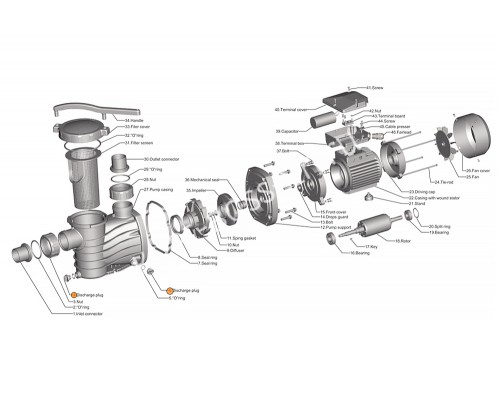 Винт сливной насоса HFC 02/03 Happy Pump
