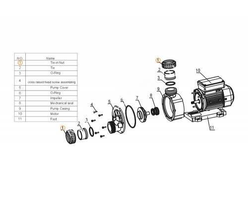 Гайка муфты d50 насоса Mayer Schwimmbad LX A31020010