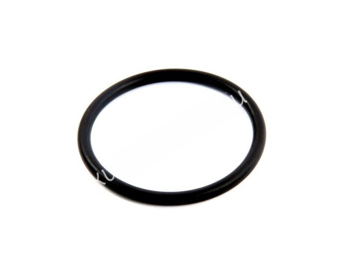 Уплотнительное кольцо для фильтров Hayward Star Clear (CX250F) Уплотнительное кольцо для фильтров Hayward Star Clear (CX250F)