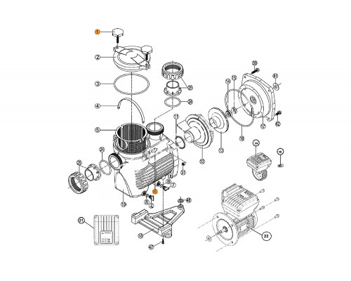 Болт (2 шт.) крышки префильтра  насоса KS в компл. с гайкой (2 шт.) Kripsol RPUM0001.02R/RBH0001.02R