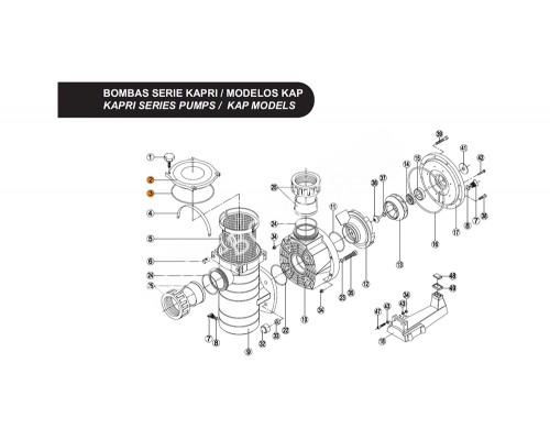 Крышка префильтра насоса KAP с прокладкой Kripsol RKA 020.A/PRUM0002.06R/RBH0002.05R