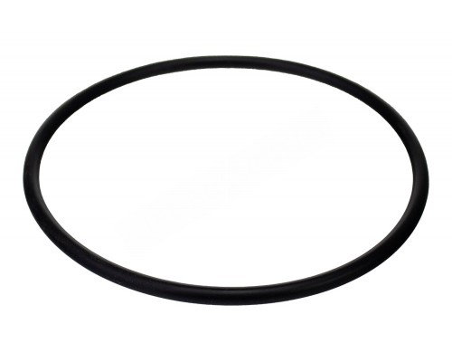 Прокладка-кольцо крышки автохлоратора Waterpik BUL 94-5