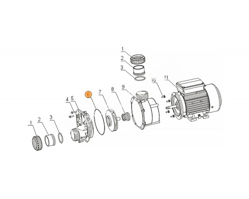 Муфта d50 насоса WTC/TDA/WPP Mayer Schwimmbad (компл.2 шт.) N03000003