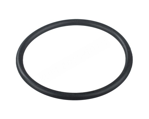 Уплотнительное кольцо соединительной муфты насоса противотока Aquaviva AV-JET