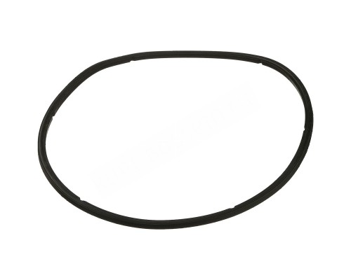 Уплотнительное кольцо крышки префильтра насоса Aquaviva AVP серии