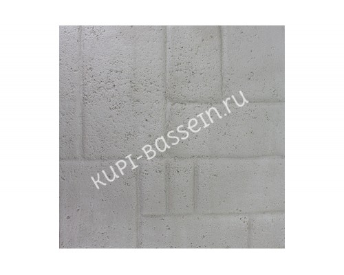 Корпус префильтра насоса APS (5,5HP-7HP) (п.6) Emaux 420246559