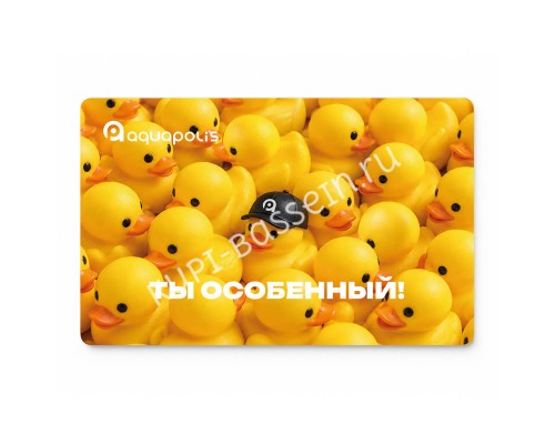 Подарочная карта Aquapolis 150 000 ₽ (Пластиковая)