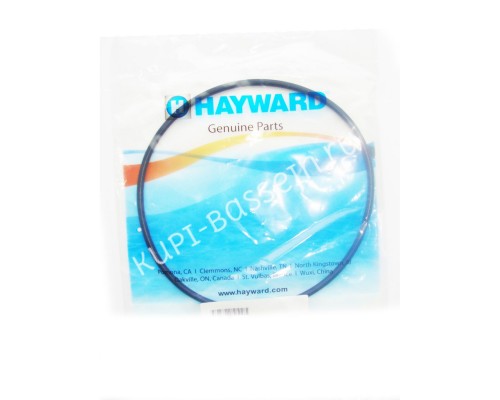 Прокладка Hayward Power-Flo II/ PowerLine (SPX8100R) для бассейна Прокладка Hayward Power-Flo II/ PowerLine (SPX8100R) для бассейна