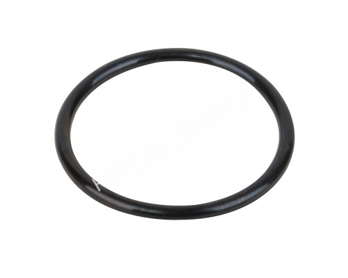Прокладка-кольцо фланца бочки фильтра Granada RGR030.A для бассейна