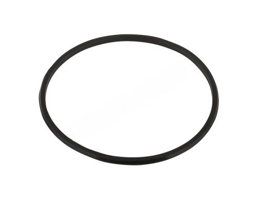 Резинка уплотнительная под муфту накидную для насосов Aquaviva серии SS/SD (2011104)