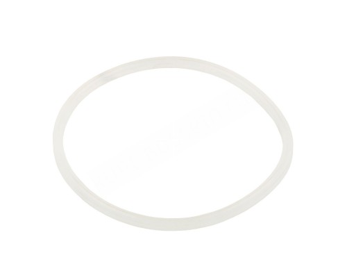 Уплотнительное кольцо AquaViva хлоратора SSC 2021044