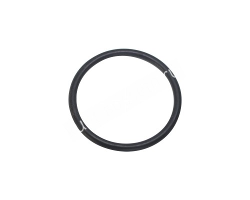 Уплотнительное кольцо Hayward (SX0220Z2)
