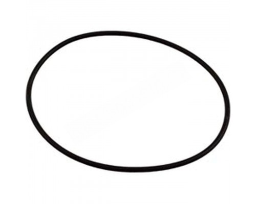 Уплотнительное кольцо Hayward SPX0710XZ5