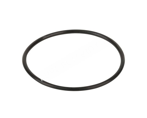 Резиновые прокладки Hayward KAN RPUM3116.09R (полный комплект) \RBH0017.01R