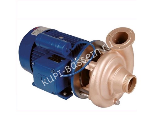 Насос Fitstar 7752050 (220В, без пф, 34м3/ч, 1.5Квт) всас. вых. НР 2", напорн. вых. GSB 40