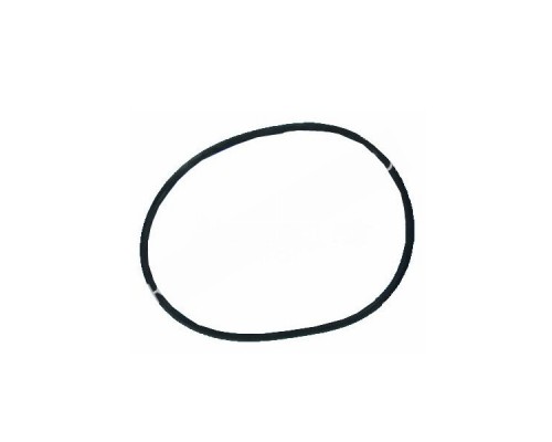 Прокладка-кольцо для крышки бочки фильтра BL BRASIL для бассейна