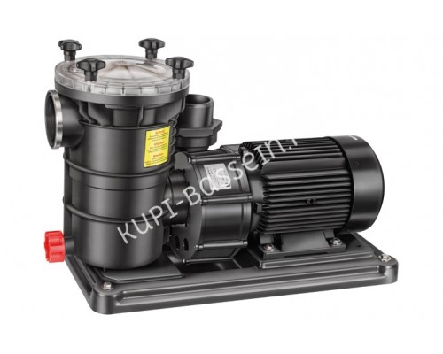 Насос BADU FA21-60/45 с префильтром для бассейна, 45 м³/ч, 380В Насос BADU FA21-60/45 с префильтром для бассейна, 45 м³/ч, 380В
