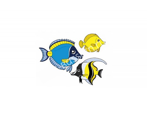 Магниты декоративные - рыбки для сбор. басс. (компл.6 шт.)  Game  4382