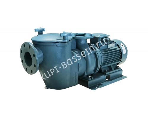 Насос (7,5 кВт 380В) Emaux SE10 88026812A для бассейна